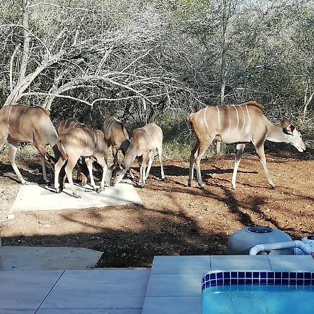 Cats Corner Villa Marloth Park Exterior photo