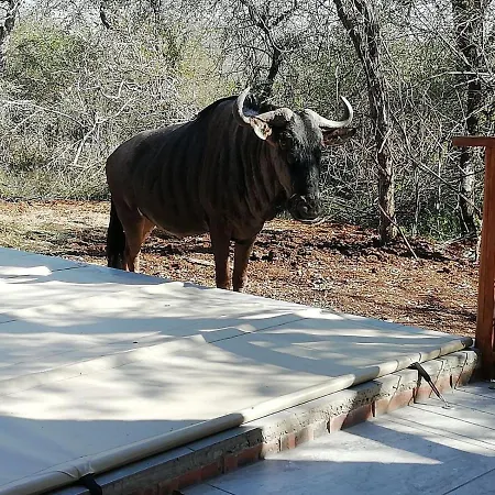 Cats Corner Villa Marloth Park Exterior photo