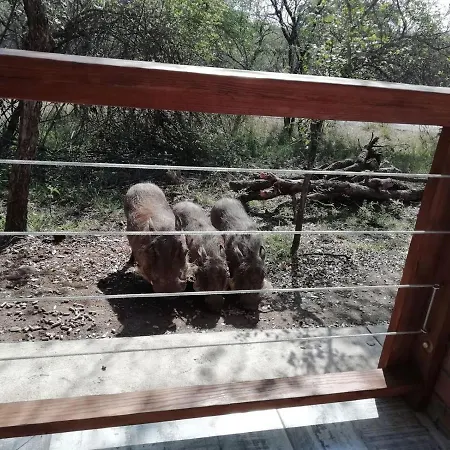 Cats Corner Villa Marloth Park Exterior photo